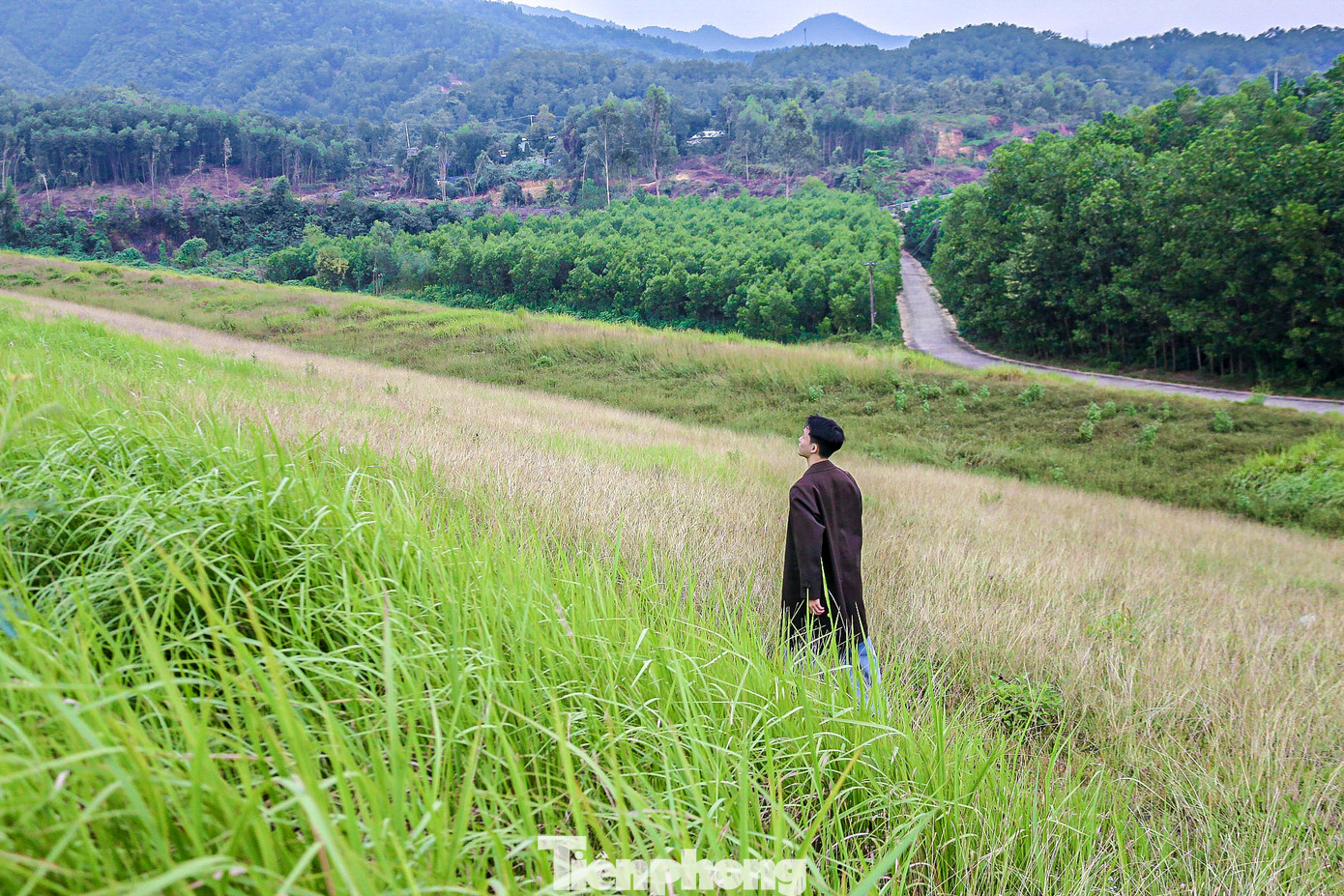 Những đồng cỏ tranh xanh mướt bạt ngàn tạo nên cảm giác bình yên, thơ mộng.