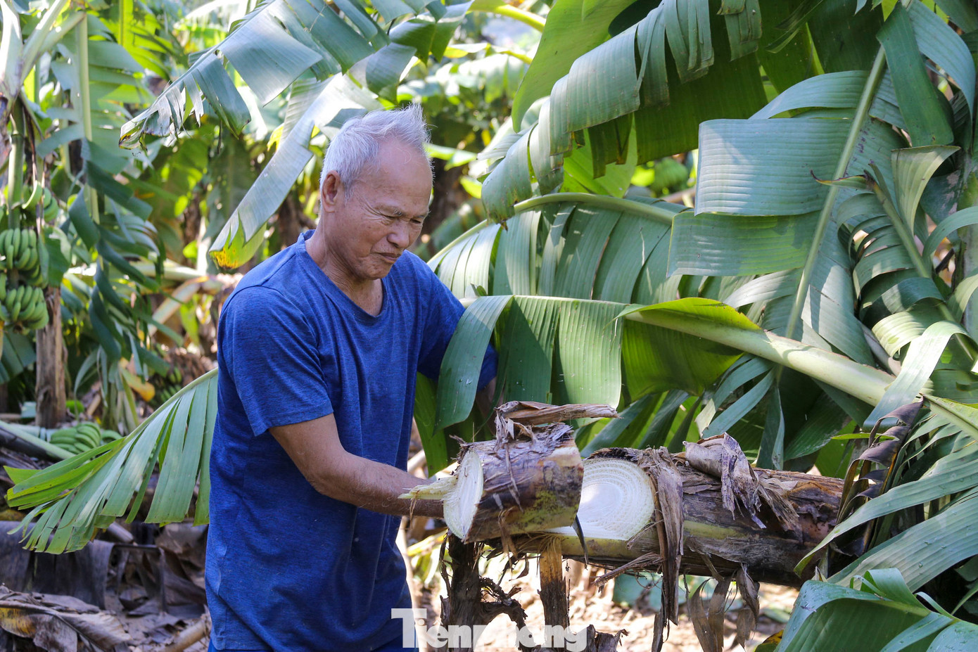 Người dân đang cố gắng khắc phục thiệt hại. Người dân đang cố gắng khắc phục thiệt hại.