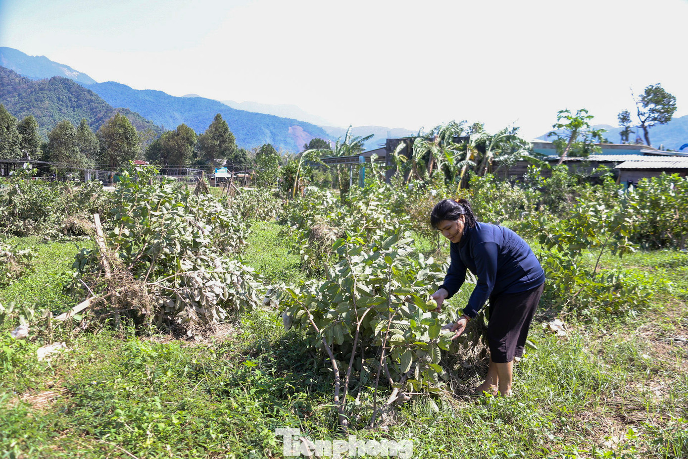 Người dân đang cố gắng khắc phục thiệt hại. Người dân đang cố gắng khắc phục thiệt hại.