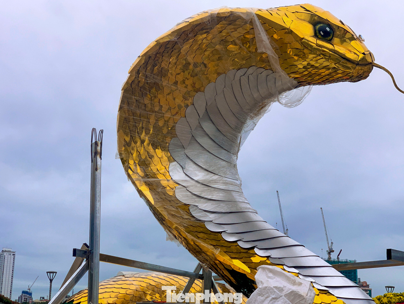 Linh vật rắn đầy uy nghi, đôi mắt được làm bằng thạch cao rồi vẽ màu. Linh vật rắn đầy uy nghi, đôi mắt được làm bằng thạch cao rồi vẽ màu.