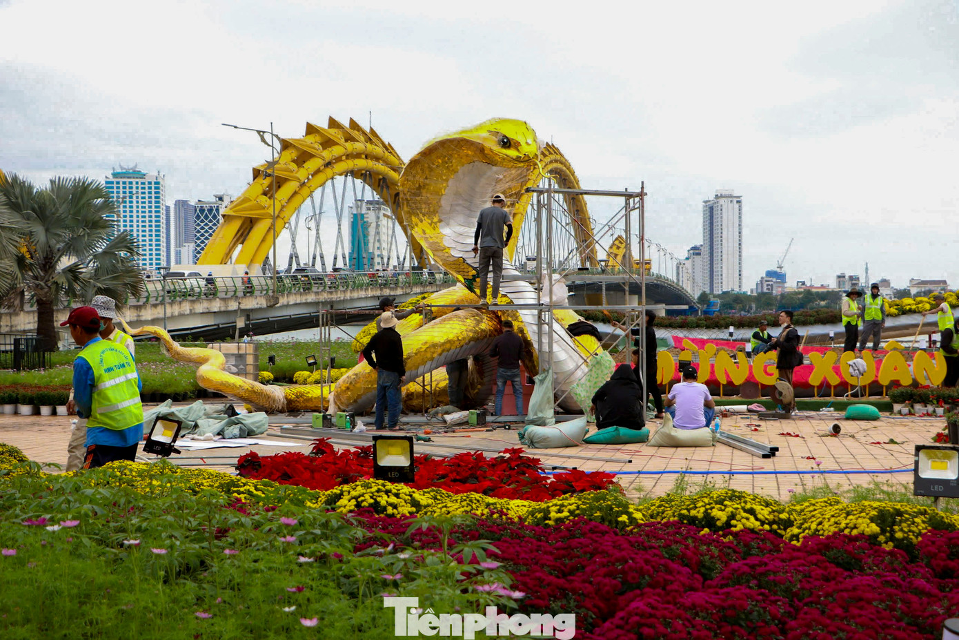 Từ sáng 14/1, nghệ nhân Đinh Văn Tâm cùng đội thợ từ Quảng Trị đã vào Đà Nẵng để lắp đặt linh vật rắn phục vụ trang trí tết Nguyên đán Ất Tỵ 2025. Từ sáng 14/1, nghệ nhân Đinh Văn Tâm cùng đội thợ từ Quảng Trị đã vào Đà Nẵng để lắp đặt linh vật rắn phục vụ trang trí tết Nguyên đán Ất Tỵ 2025.