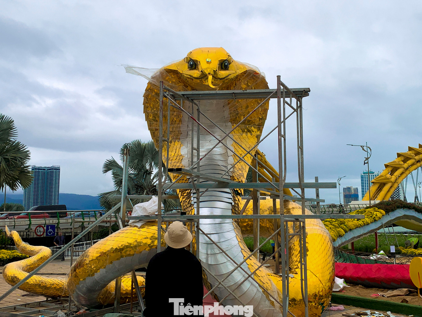 Linh vật rắn được đặt ở phía nam cầu Rồng, dọc vỉa hè tuyến đường Bạch Đằng (quận Hải Châu, TP. Đà Nẵng). Linh vật rắn được đặt ở phía nam cầu Rồng, dọc vỉa hè tuyến đường Bạch Đằng (quận Hải Châu, TP. Đà Nẵng).