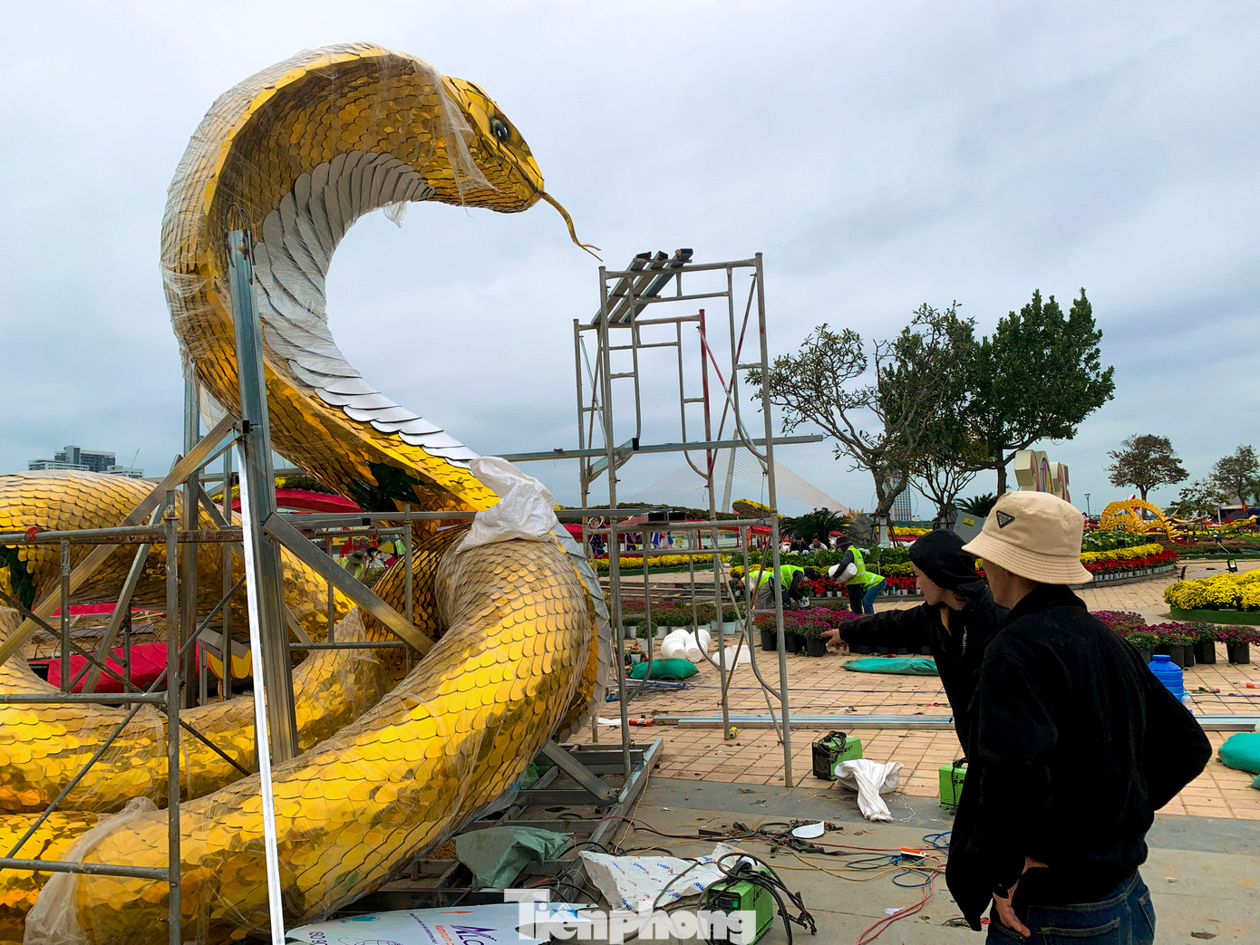 Anh Đinh Văn Tâm, nghệ nhân chế tác linh vật cho biết, linh vật rắn năm nay có chiều cao 4,5m, dài 8m, vảy rắn được làm từ nhôm Alu. Hiện anh cùng đội thợ của mình đang trong quá trình lắp đặt để hoàn thiện. Anh Đinh Văn Tâm, nghệ nhân chế tác linh vật cho biết, linh vật rắn năm nay có chiều cao 4,5m, dài 8m, vảy rắn được làm từ nhôm Alu. Hiện anh cùng đội thợ của mình đang trong quá trình lắp đặt để hoàn thiện.