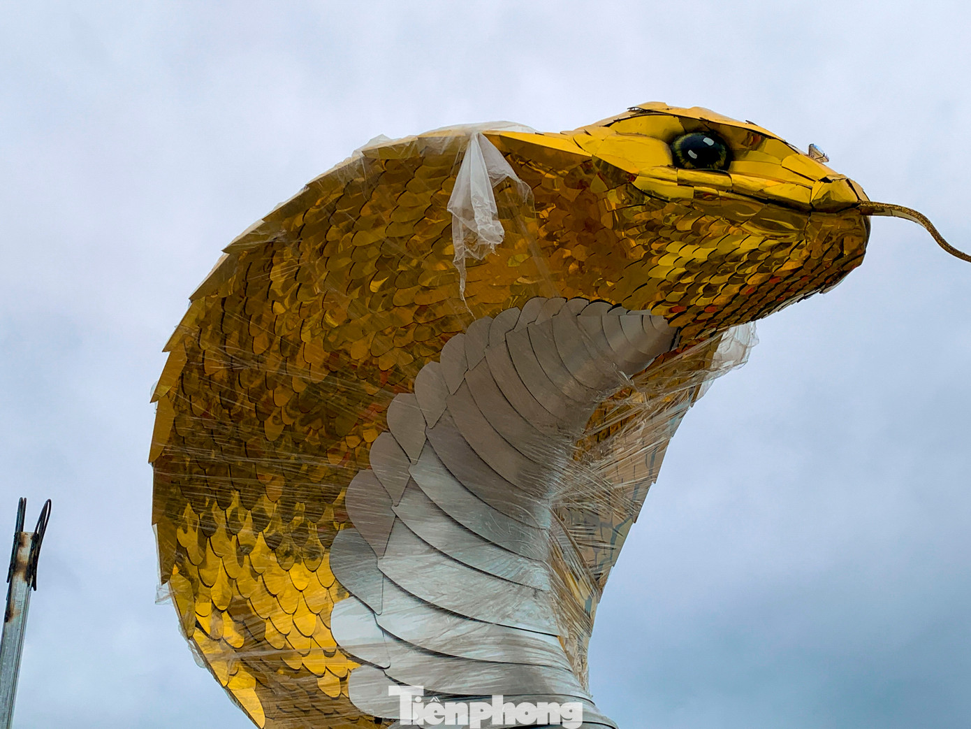 Linh vật rắn đầy uy nghi, đôi mắt được làm bằng thạch cao rồi vẽ màu. Linh vật rắn đầy uy nghi, đôi mắt được làm bằng thạch cao rồi vẽ màu.