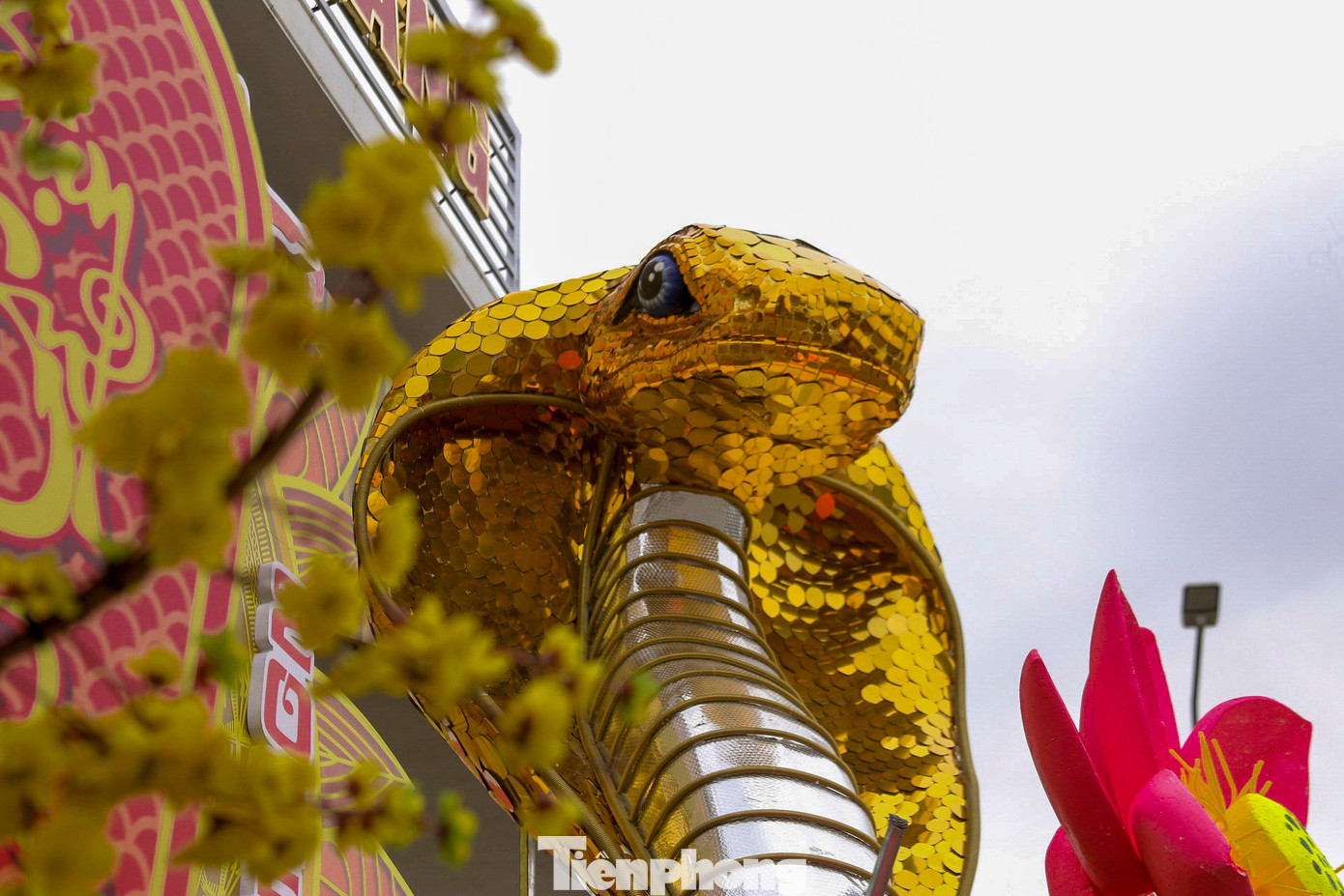 Đôi mắt của linh vật rắn được chế tác sắc nét, phía ngoài được dát vàng. Đôi mắt của linh vật rắn được chế tác sắc nét, phía ngoài được dát vàng.