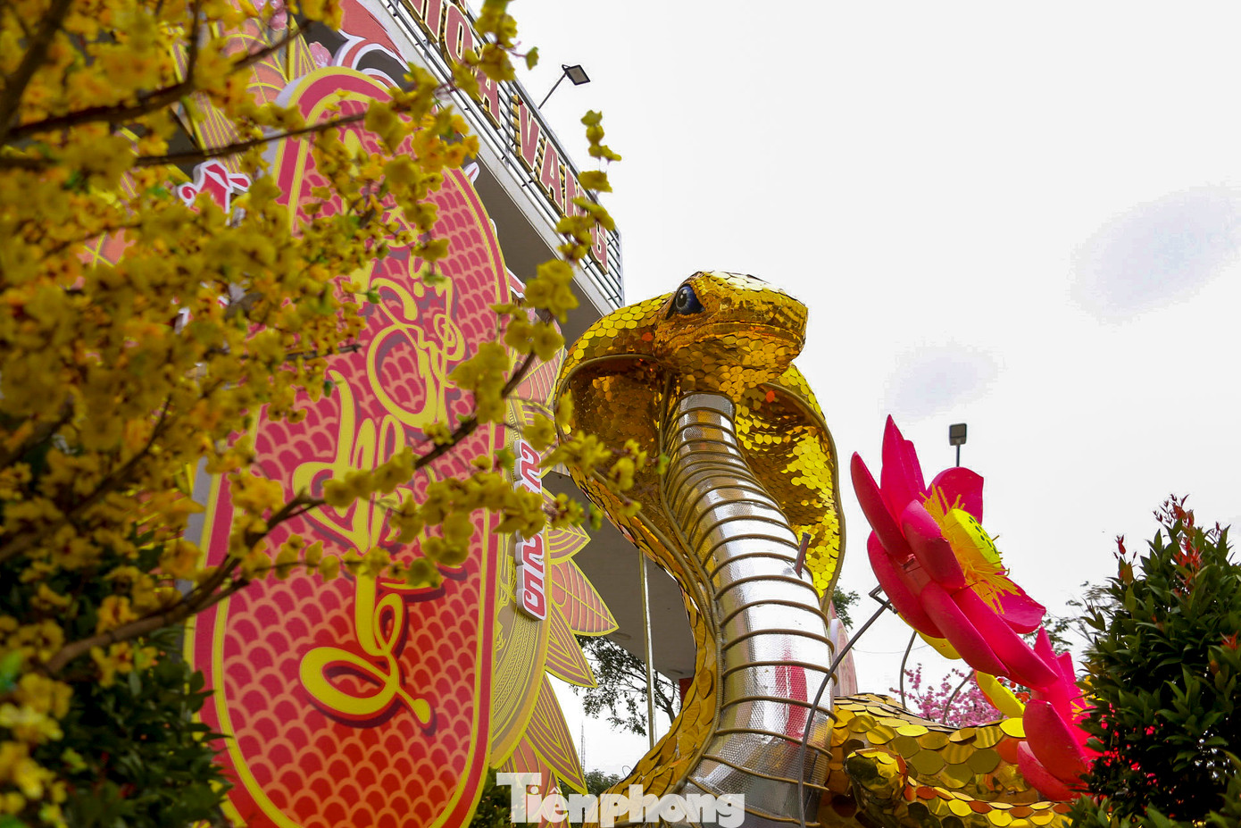 Theo anh Hà, người thi công cho hay, linh vật rắn này có tổng chiều dài gần 20m, được làm bằng xốp, phần vẩy được làm bằng kính màu vàng óng ánh. Để hoàn thành linh vật này, đơn vị phải mất gần 1 tháng thi công. Theo anh Hà, người thi công cho hay, linh vật rắn này có tổng chiều dài gần 20m, được làm bằng xốp, phần vẩy được làm bằng kính màu vàng óng ánh. Để hoàn thành linh vật này, đơn vị phải mất gần 1 tháng thi công.