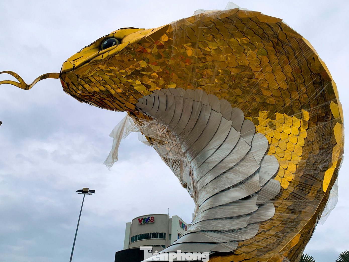 Linh vật rắn đầy uy nghi, đôi mắt được làm bằng thạch cao rồi vẽ màu. Linh vật rắn đầy uy nghi, đôi mắt được làm bằng thạch cao rồi vẽ màu.