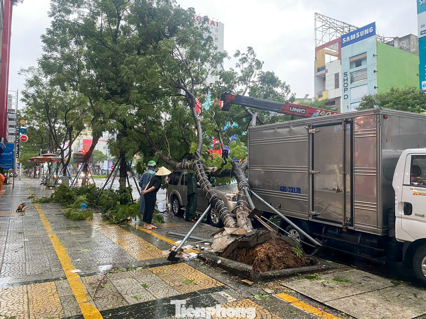 Nhiều xe ô tô đậu trên đường bị cây ngã đè lên. Nhiều xe ô tô đậu trên đường bị cây ngã đè lên.