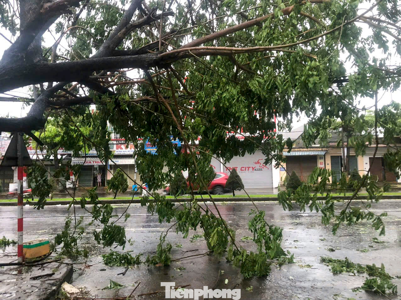 Nhiều cây to ngã đổ, nằm la liệt trên đường ở Đà Nẵng. Nhiều cây to ngã đổ, nằm la liệt trên đường ở Đà Nẵng.