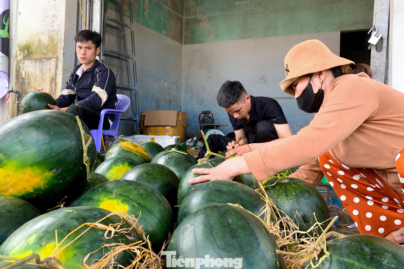 Rất nhiều người đến đặt làm và hỏi mua để về chưng Tết.