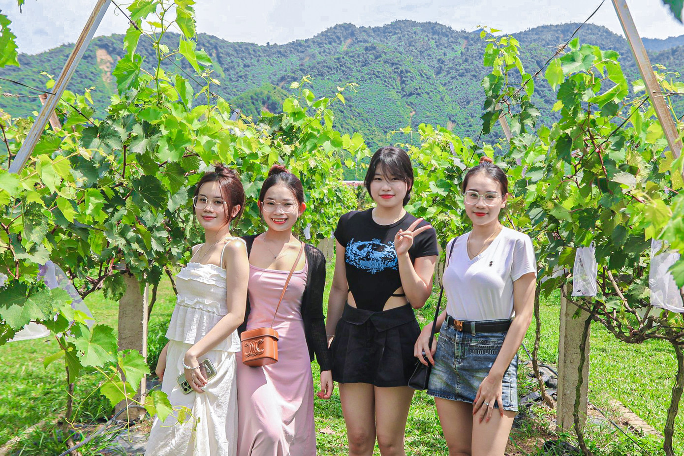 Một nhóm bạn trẻ rất thích thú khi lần đầu tiên được trải nghiệm, chụp hình và dạo quanh vườn nho trĩu trái.