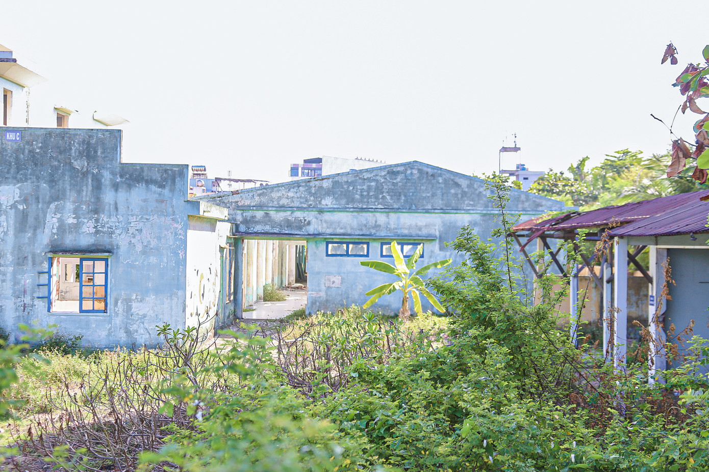 Cây cỏ mọc um tùm xung quanh bệnh viện bỏ hoang gây ô nhiễm. Cây cỏ mọc um tùm xung quanh bệnh viện bỏ hoang gây ô nhiễm.