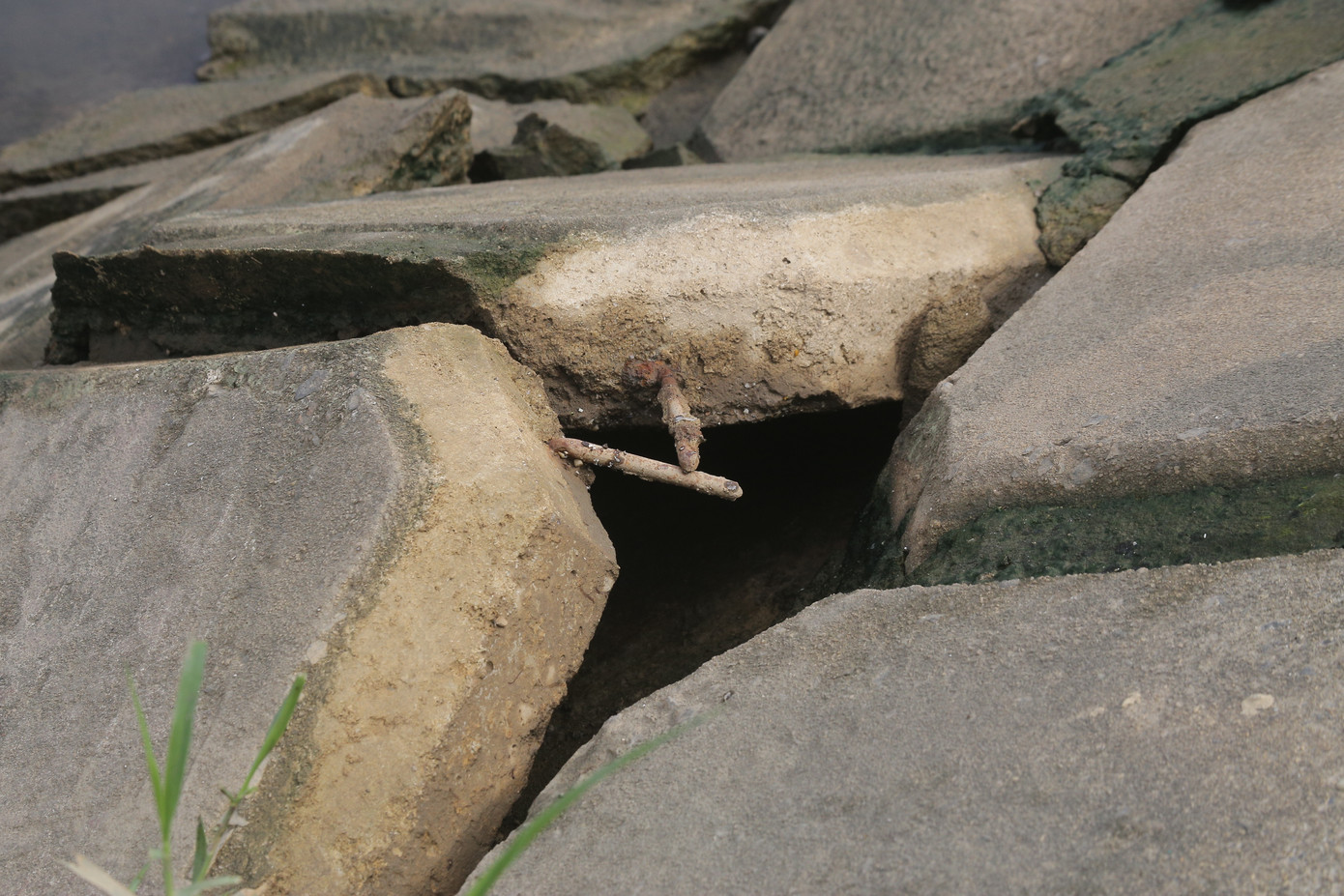 Nhiều mảng bê tông bong tróc, để lộ sắt thép hoen rỉ ra ngoài.