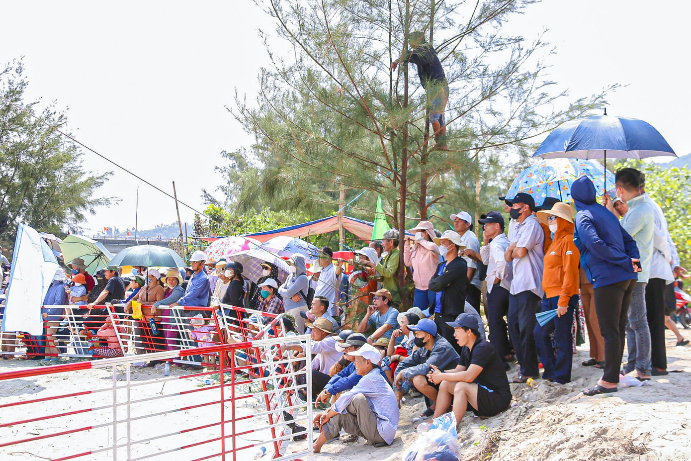 Hàng nghìn người tập trung hai bên đầm Lập An để cổ vũ các đội đua. Có người trèo lên cây, mạn thuyền để dễ dàng quan sát các đội thi đấu.