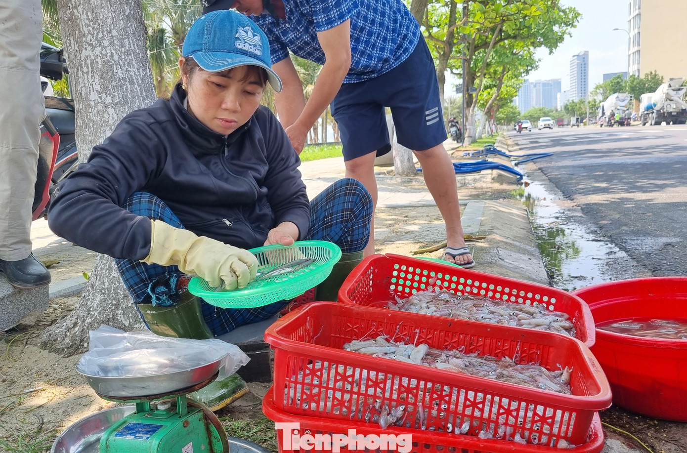 Mỗi kg mực nháy dao động từ 120.000 – 170.000 đồng. Nếu đi từ 4g sáng có thể mua ở chợ cá nhộn nhịp trên bãi biển. Mỗi kg mực nháy dao động từ 120.000 – 170.000 đồng. Nếu đi từ 4g sáng có thể mua ở chợ cá nhộn nhịp trên bãi biển.