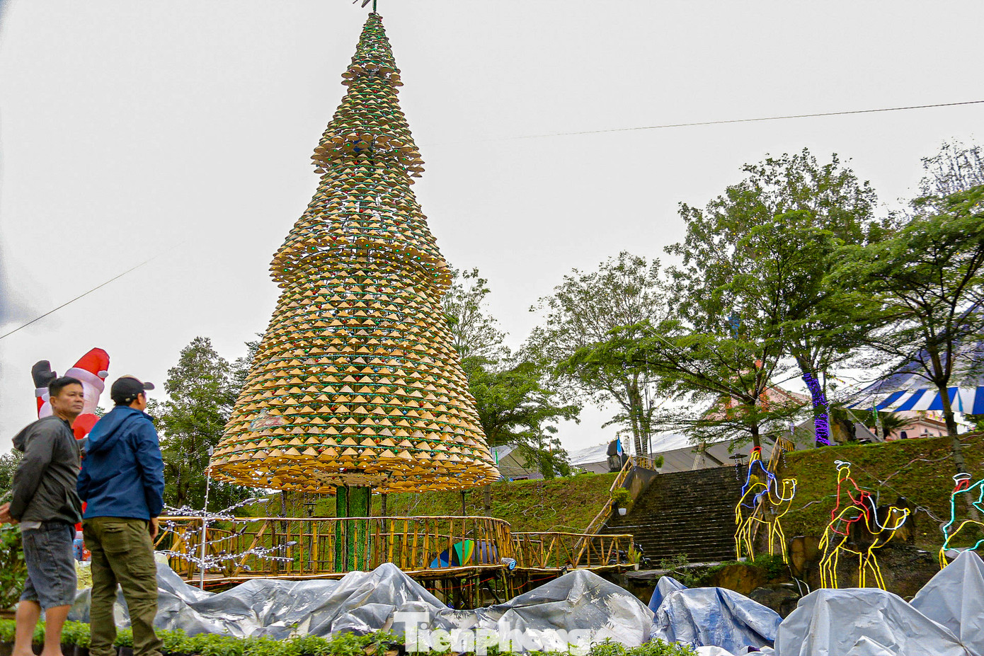 Theo nhiều giáo dân, khi lên ý tưởng sử dụng nón lá để làm cây thông, giáo xứ muốn muốn tạo ra sự độc đáo, điểm mới lạ cho Noel năm nay. Theo nhiều giáo dân, khi lên ý tưởng sử dụng nón lá để làm cây thông, giáo xứ muốn muốn tạo ra sự độc đáo, điểm mới lạ cho Noel năm nay.