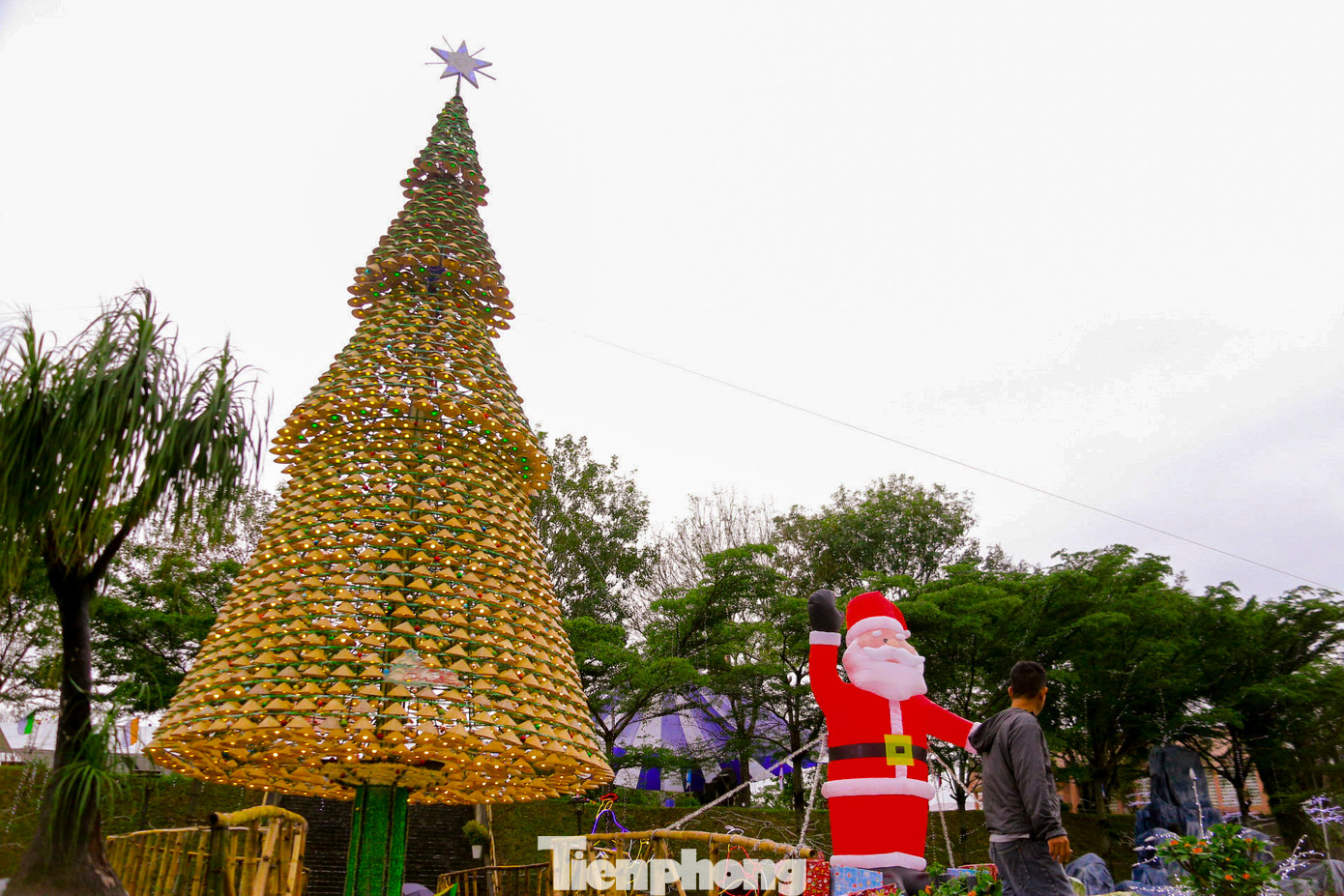Cây thông cao gần 20 m, được đặt ngay chính giữa nhà thờ trở thành điểm nhấn nổi bật thu hút sự chú ý của nhiều người. Cây thông cao gần 20 m, được đặt ngay chính giữa nhà thờ trở thành điểm nhấn nổi bật thu hút sự chú ý của nhiều người.