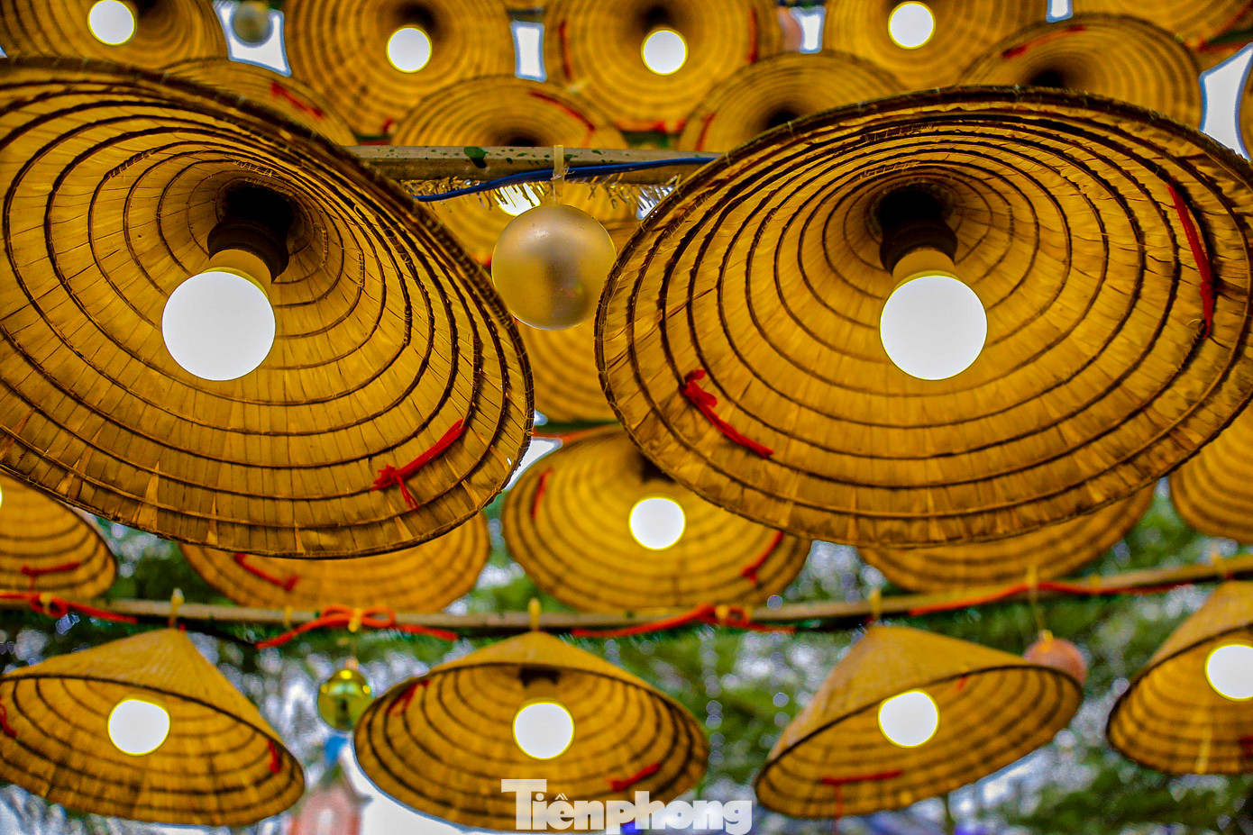 Các giáo dân đã khéo léo sắp xếp những chiếc nón thành hình cây thông vững chãi. Mỗi chiếc nón đều được trang trí thêm bóng đèn, dây kim tuyến, quả châu, và các họa tiết mang đậm màu sắc Giáng sinh, làm nổi bật vẻ đẹp rực rỡ, đầy sáng tạo. Các giáo dân đã khéo léo sắp xếp những chiếc nón thành hình cây thông vững chãi. Mỗi chiếc nón đều được trang trí thêm bóng đèn, dây kim tuyến, quả châu, và các họa tiết mang đậm màu sắc Giáng sinh, làm nổi bật vẻ đẹp rực rỡ, đầy sáng tạo.