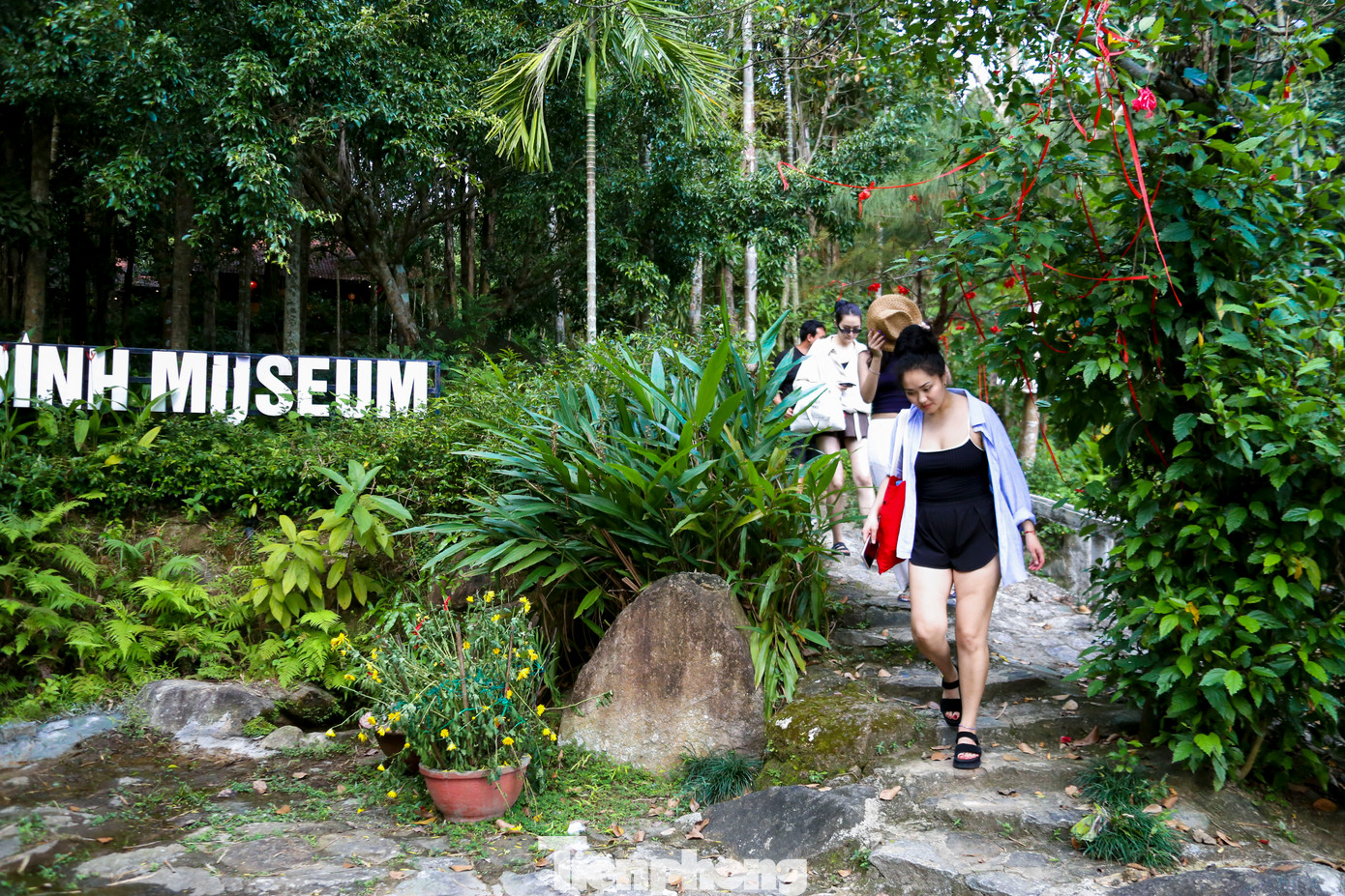Bảo tàng Đồng Đình hiện đang bảo tồn, lưu trữ hàng nghìn cổ vật quý hiếm, có niên đại từ 100 năm đến 2.500 năm, mỗi ngày thu hút hàng trăm lượt khách đến tham quan, trải nghiệm.