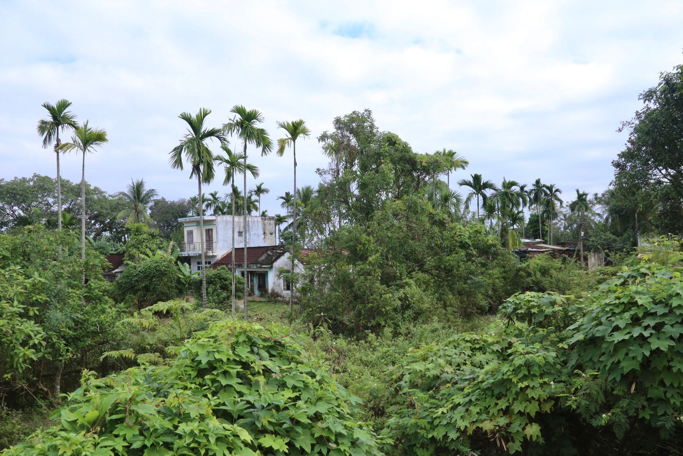 Lãnh đạo, UBND xã Hòa Liên cho biết, tại thôn Quan Nam 2 có nhiều hộ dân chưa di dời theo diện giải tỏa khu tái định cư Hòa Liên 4 do chưa thống nhất trong việc bố trí cấp đất, một phần cũng do thiếu đất thực tế nên vẫn chưa thể bàn giao và giải quyết cho người dân.