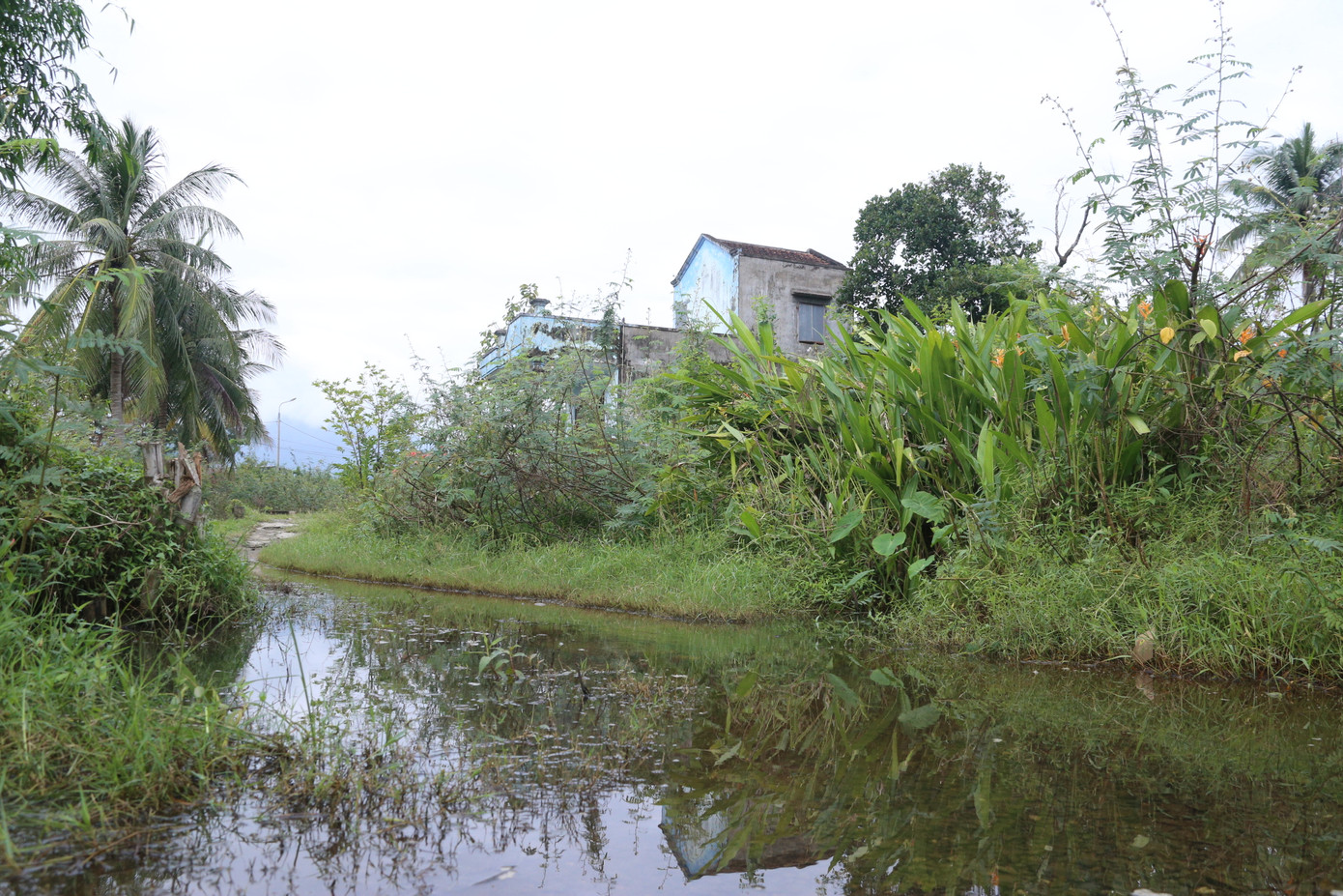 Con đường dẫn vào thôn nước ngập, bùn lầy sau những trận mưa do chưa có hệ thống mương thoát nước.