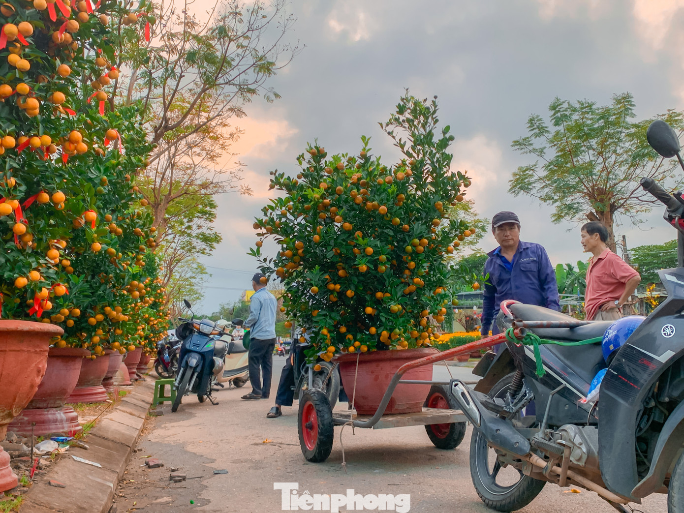 Nhiều người chạy thuê dậy từ sáng sớm túc trực bên các tiểu thương, khi khách mua hoa cần chở họ sẵn sàng có mặt.
