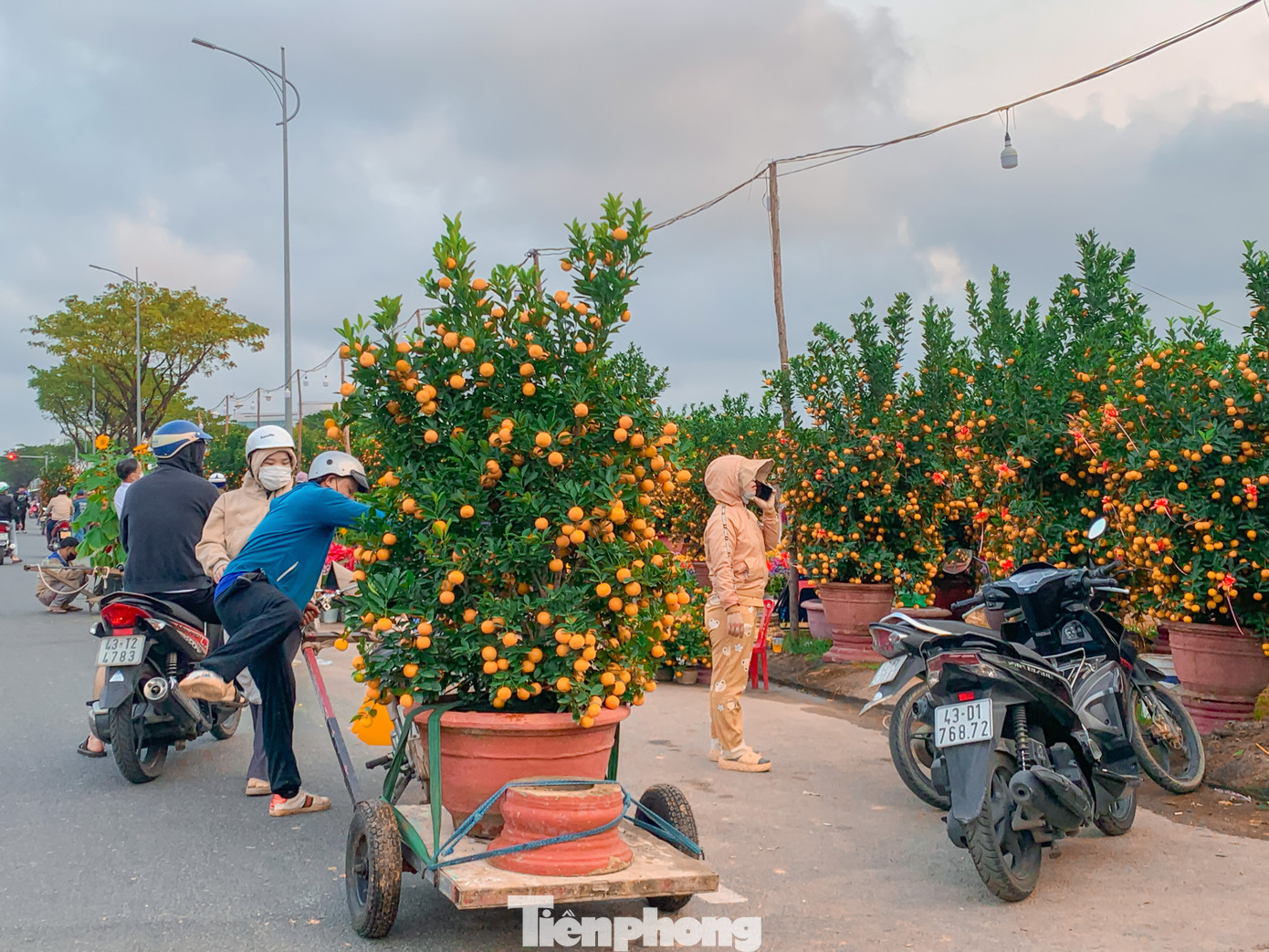 Càng về chiều lượng người đổ ra mua càng đông khiến không khí nhộn nhịp hơn. Trong đội hình tham gia chở hoa nhiều người là công nhân, sinh viên, thợ hồ, xe ôm. Nhiều người chưa về quê ăn Tết mà tranh thủ ở lại Đà Nẵng để làm thêm.
