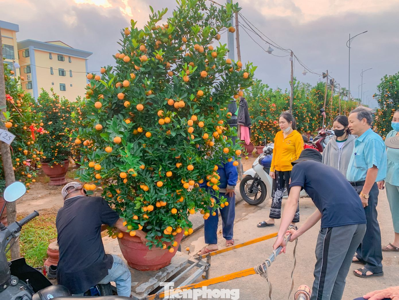 Ghi nhận của PV, tại các tuyến đường trung tâm nơi tập trung các chợ hoa Tết, những người chở hoa thuê đang túc trực ngày đêm, sẵn sàng phục vụ khách mua hoa khi cần.