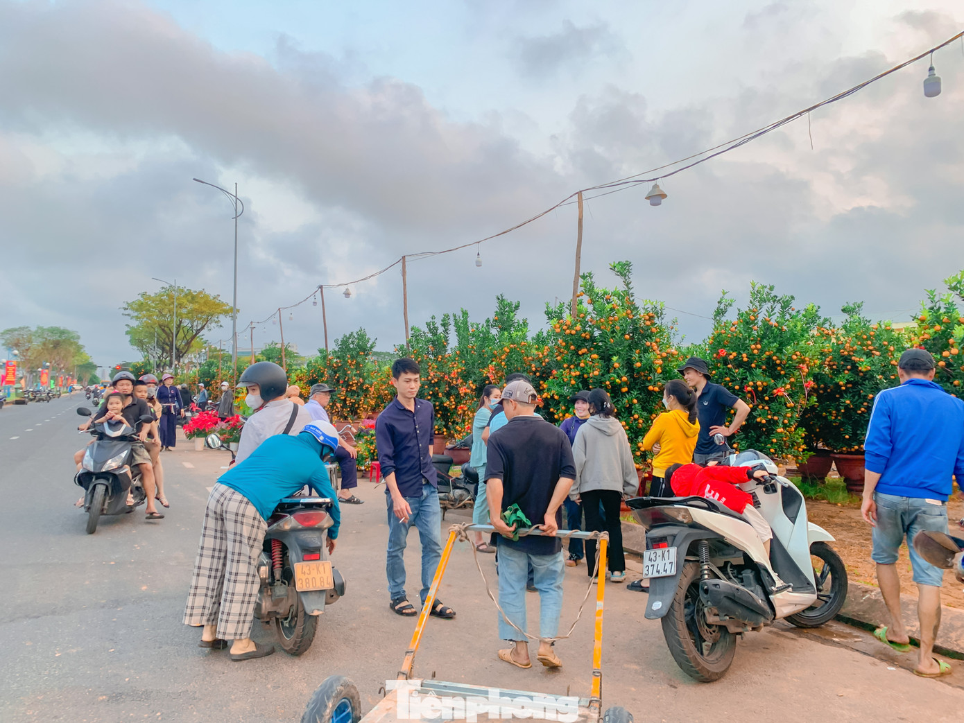 Càng về chiều lượng người đổ ra mua càng đông khiến không khí nhộn nhịp hơn. Trong đội hình tham gia chở hoa nhiều người là công nhân, sinh viên, thợ hồ, xe ôm. Nhiều người chưa về quê ăn Tết mà tranh thủ ở lại Đà Nẵng để làm thêm.