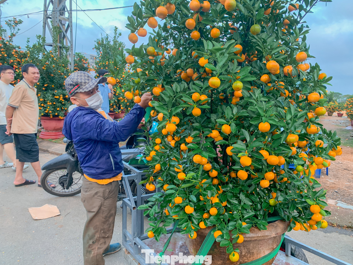 Ông Lê Văn Côi (trú xã Hòa Tiến, huyện Hòa Vang) cho biết, thời gian này lượng người mua nhiều nên ông tranh thủ chở thuê để kiếm thu nhập cho những ngày Tết. Khách mua càng nhiều thì mới chạy được nhiều, ngày hôm nay chạy gần 10 chuyến nên ông cũng kiếm được kha khá.