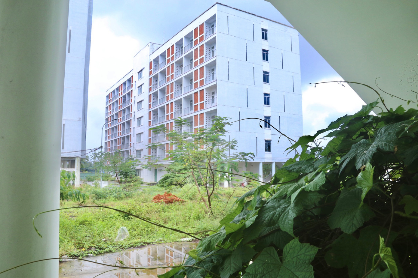 Theo Sở Xây dựng thành phố Đà Nẵng, năm 2024, thành phố sẽ chuyển đổi công năng 2 khu ký túc xá phía Tây và khu công nghiệp Hòa Khánh sang nhà ở xã hội với dự kiến hơn 600 căn. Theo Sở Xây dựng thành phố Đà Nẵng, năm 2024, thành phố sẽ chuyển đổi công năng 2 khu ký túc xá phía Tây và khu công nghiệp Hòa Khánh sang nhà ở xã hội với dự kiến hơn 600 căn.