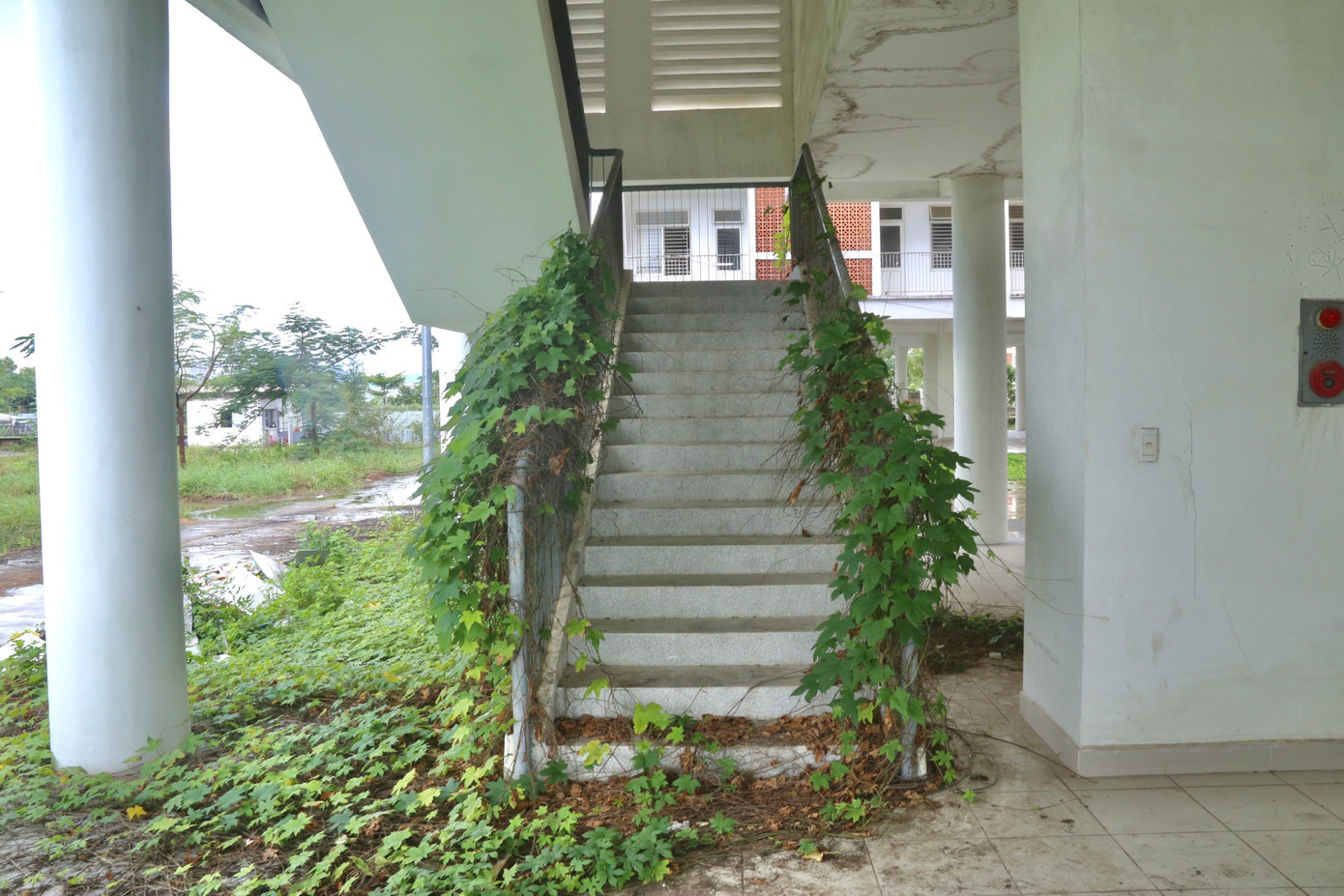 Theo ghi nhận, hai khu ký túc xá (thuộc phường Hòa Khánh Nam, quận Liên Chiểu) đến nay không có người ở, nhiều hạng mục đã xuống cấp, hư hỏng, cây cỏ mọc um tùm, nhếch nhác. Theo ghi nhận, hai khu ký túc xá (thuộc phường Hòa Khánh Nam, quận Liên Chiểu) đến nay không có người ở, nhiều hạng mục đã xuống cấp, hư hỏng, cây cỏ mọc um tùm, nhếch nhác.