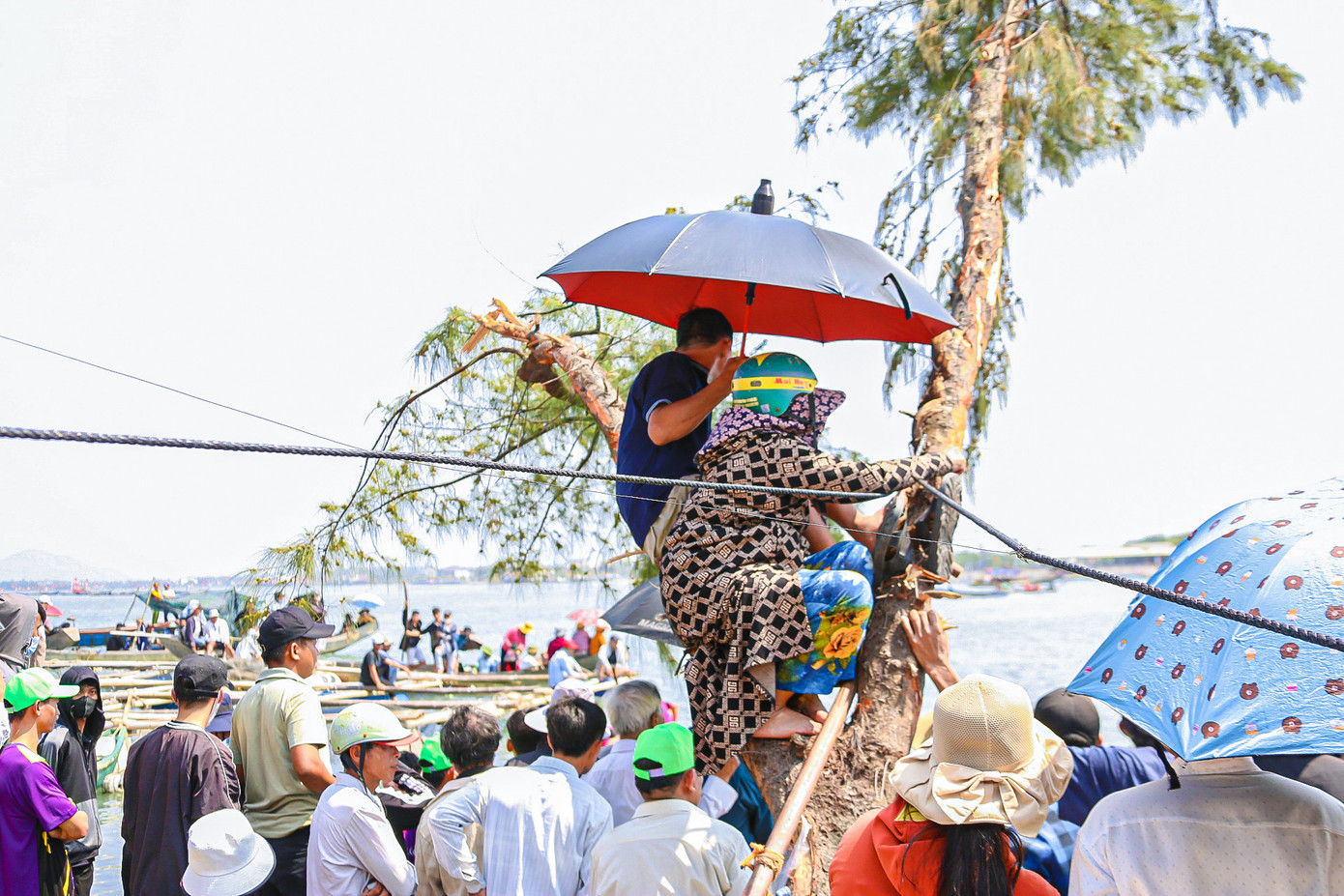 Hàng nghìn người tập trung hai bên đầm Lập An để cổ vũ các đội đua. Có người trèo lên cây, mạn thuyền để dễ dàng quan sát các đội thi đấu.