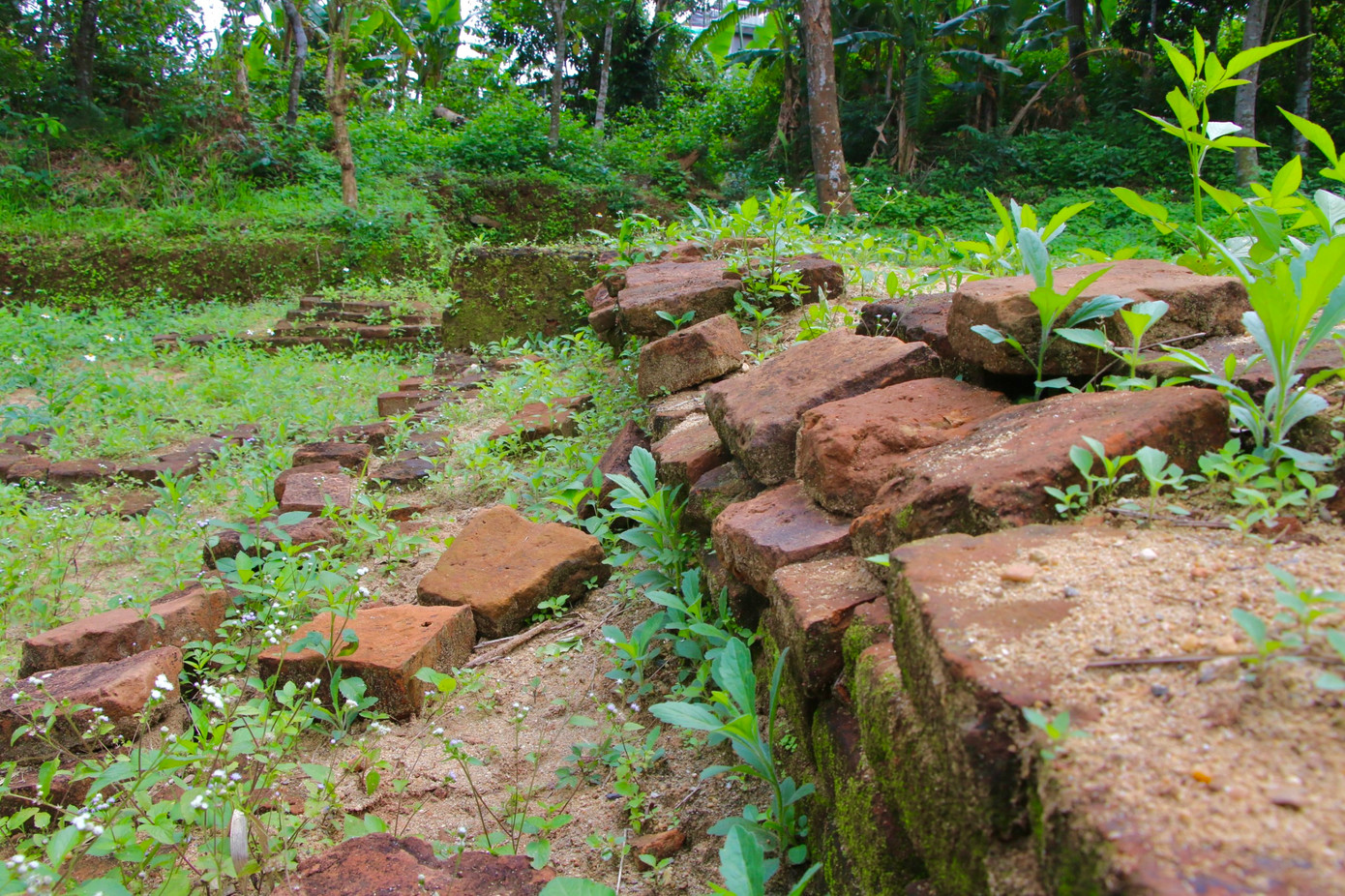 Theo ghi nhận, xung quanh di tích không được chăm sóc, dọn dẹp, quan cảnh hoang phế. Chỉ duy nhất “hố thiêng” được chính quyền dựng mái tôn che chắn để bảo vệ cấu trúc của di tích.