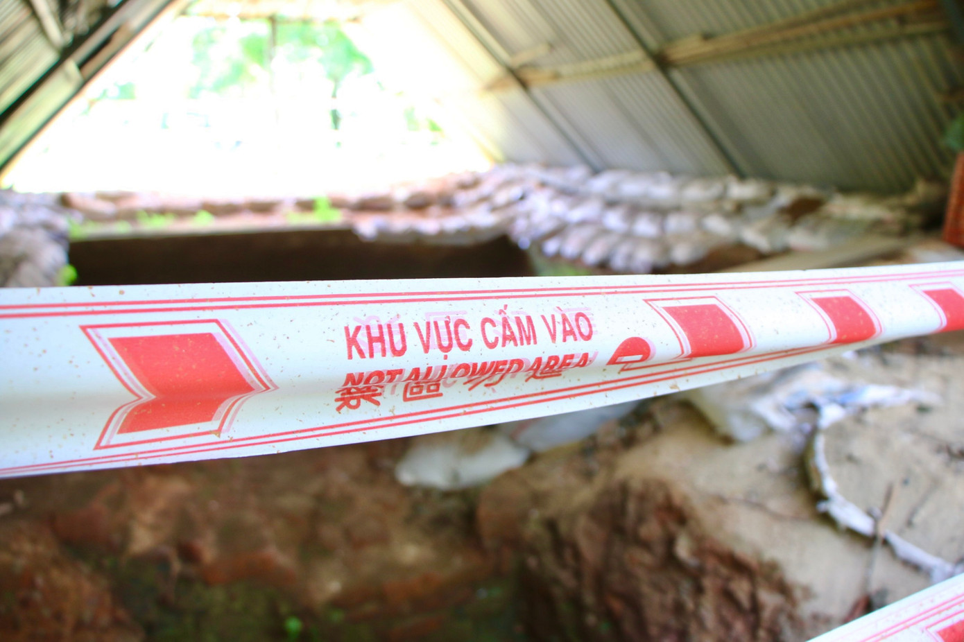 Khu vực “hố thiêng” được người dân giăng dây tránh gây ảnh hưởng đến cấu trúc bên trong.