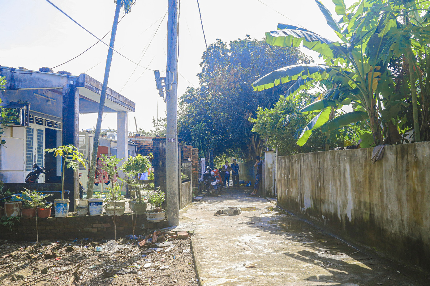 Như vậy, tổng diện tích đất thuộc khu Quy hoạch Làng Đại học Đà Nẵng chưa được giải tỏa chiếm 65% tổng diện tích của toàn Dự án. Đây có thể xem như khó khăn, vướng mắc lớn nhất trong việc triển khai dự án hiện nay.