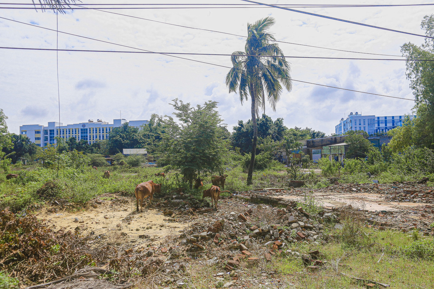 Theo tìm hiểu, tổng số vốn đã bố trí để đầu tư xây dựng Làng Đại học Đà Nẵng tại Hòa Quý – Điện Ngọc trong giai đoạn 1997 đến năm 2025 là hơn 3.600 tỷ đồng. Tuy nhiên, hiện nay dự án đã 26 năm dự án triển khai vẫn còn dang dở vì gặp nhiều vướng mắc trong công tác giải phóng mặt bằng.