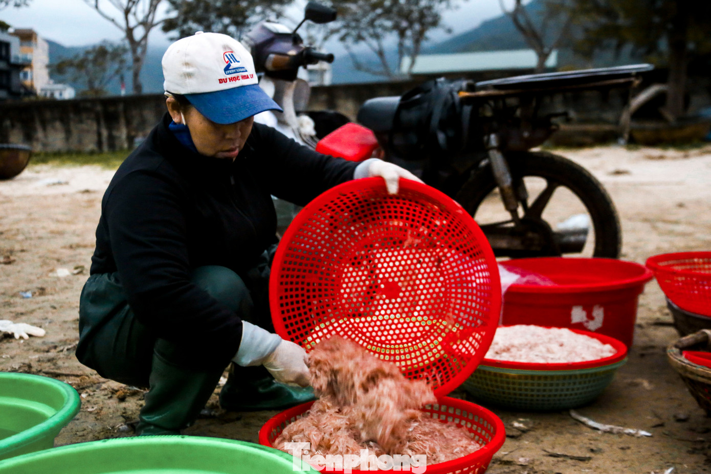 Các tàu ra khơi đi về chỉ được vài kg ruốc, lượng ruốc đánh bắt được giảm sút nghiêm trọng.