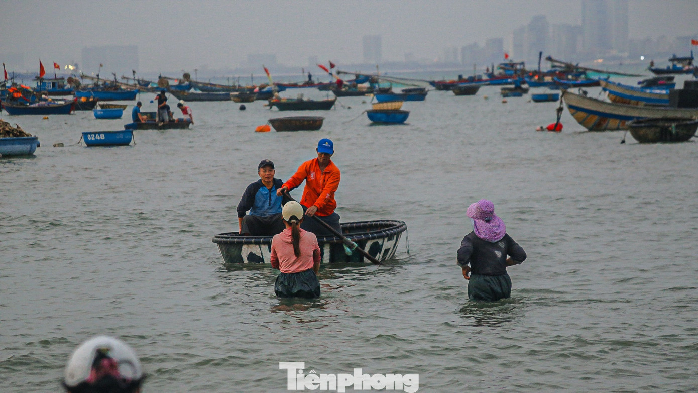 Tuy nhiên, mùa ruốc năm nay lại khác hẳn mọi năm, mặc dù vất vả ra khơi suốt đêm, ngư dân vẫn trở về tay trắng.