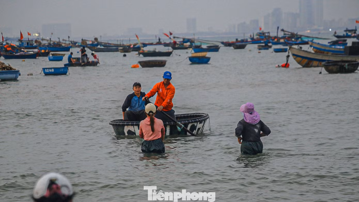 Tuy nhiên, mùa ruốc năm nay lại khác hẳn mọi năm, mặc dù vất vả ra khơi suốt đêm, ngư dân vẫn trở về tay trắng.