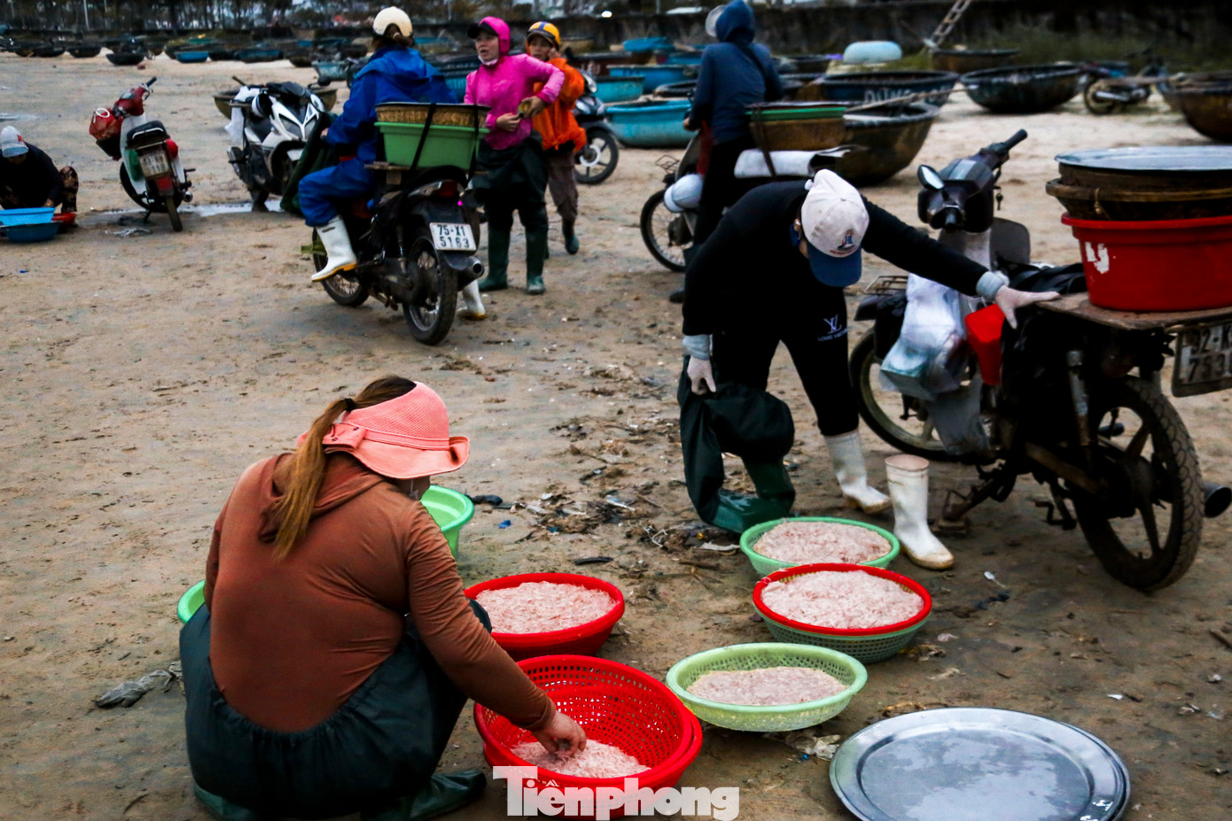 Nhiều tiểu thương đến từ sớm để chờ những chuyến tàu ruốc cập bến, với hy vọng thu mua đem bán tại các chợ. Tuy nhiên, họ phải thất vọng đi về vì ruốc mất mùa.