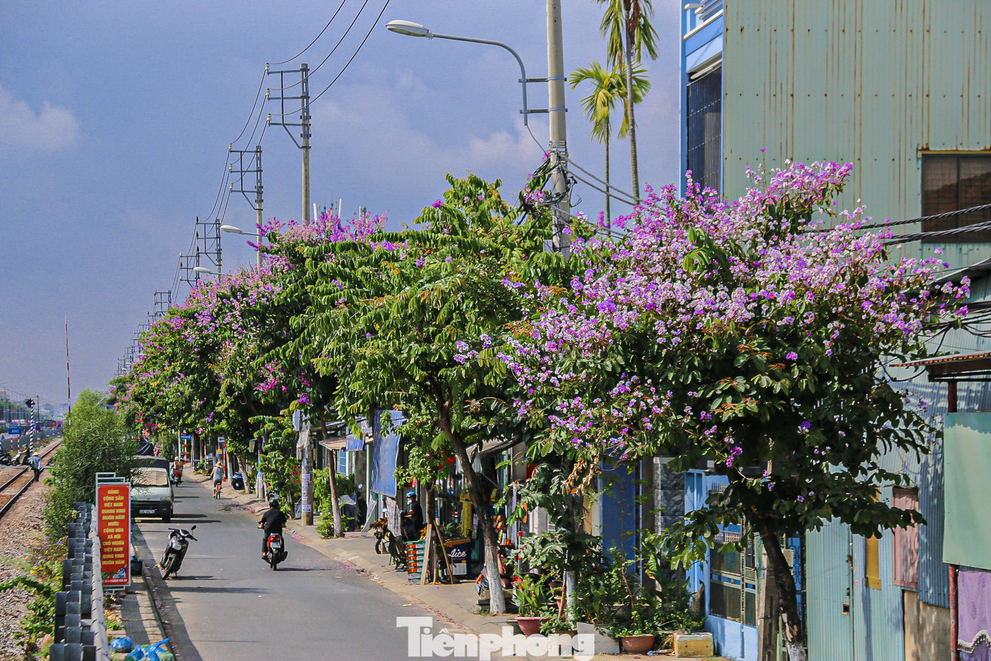 Các tuyến đường Tôn Đức Thắng, Nguyễn Công Hoan, Trường Chinh, Nguyễn Phước Nguyên,… những hàng bằng lăng bung nở, phủ tím các con đường tạo nên khung cảnh đẹp mắt.