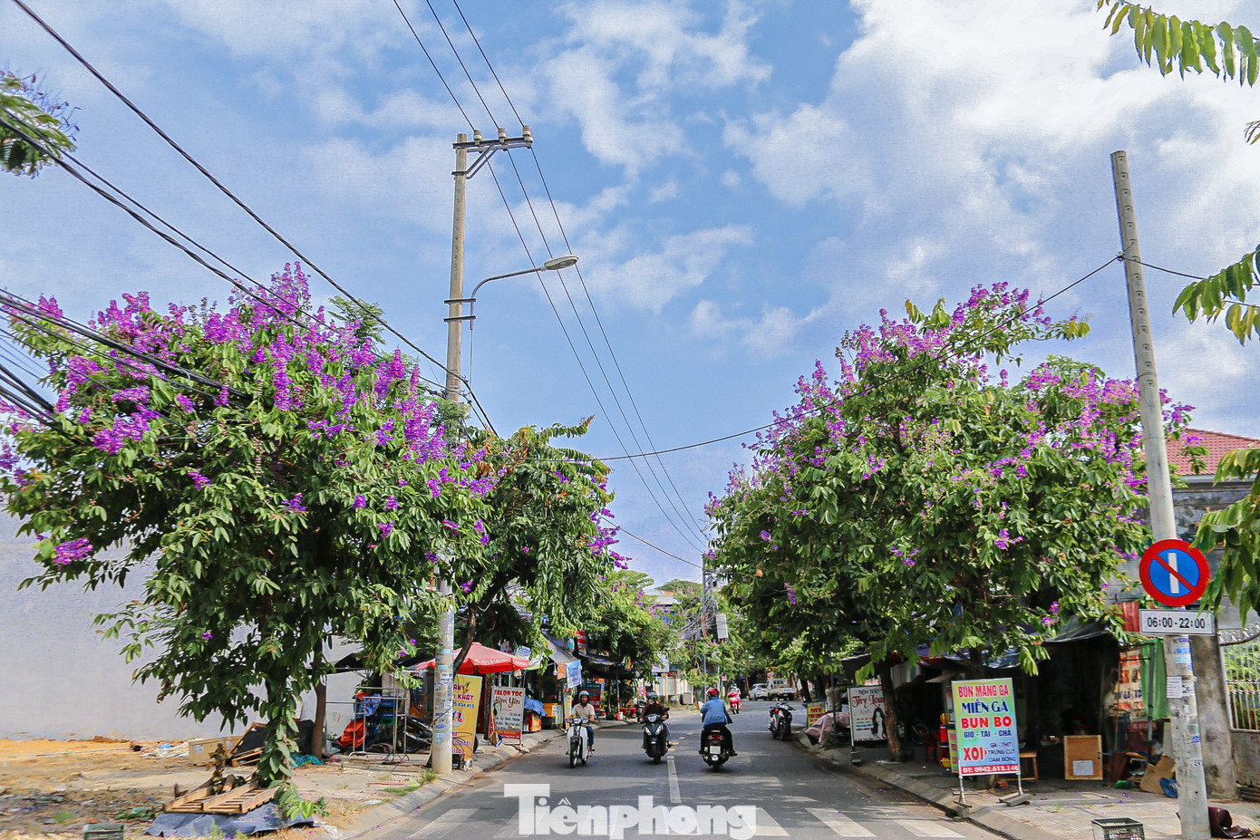 Do có nhiều đặc điểm phù hợp với khí hậu Việt Nam, cũng như khả năng tạo bóng râm, tăng tính thẩm mỹ cho cảnh quan, cây bằng lăng được chọn để trồng trên nhiều tuyến phố ở Đà Nẵng.