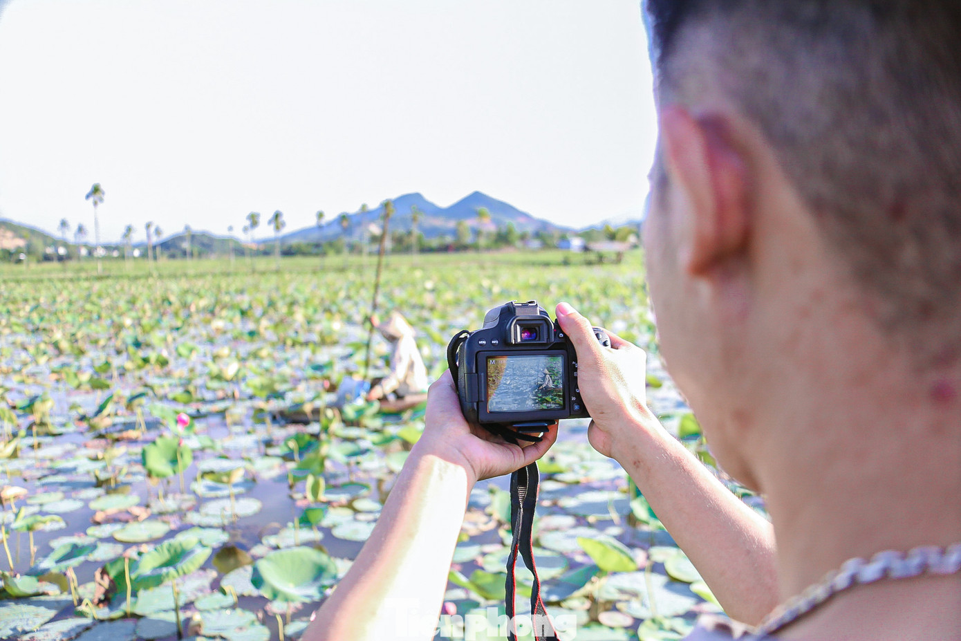Phan Thanh Nguyên, sinh viên ĐH Sư phạm - ĐH Đà Nẵng tìm đến để chụp hình, lưu lại những kỷ niệm đẹp bên những đóa sen tinh khôi trước khi mùa hè trôi qua. “Em tình cờ đi qua và thấy cánh đồng sen này, tranh thủ mùa sen đang đẹp nên đến đây để chụp hình. Tuy thời tiết nắng nóng, nhưng được nhìn ngắm vẻ đẹp tinh khiết, hương thơm nhẹ nhàng của hàng nghìn bông sen em cảm thấy bình yên, thư thả”, bạn Nguyên cho biết.