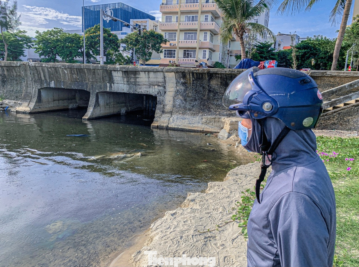 Chị Nguyễn Thị Hoa (trú phường Xuân Hà, quận Thanh Khê) cho biết: Sau những trận mưa lớn hôm 16 - 17/5 vừa qua thì bắt đầu xuất hiện cá nằm chết la liệt ngay phía dưới cống xả thải. Chị thường đi thể dục vào mỗi buổi sáng, những ngày trước đó không thấy nhưng 2 hôm nay đi ngang qua thì cá nằm chết la liệt. Cá chết nằm ngay bãi biển nhiều người qua lại bốc mùi hôi gây ô nhiễm, ảnh hưởng đến môi trường rất nhiều.