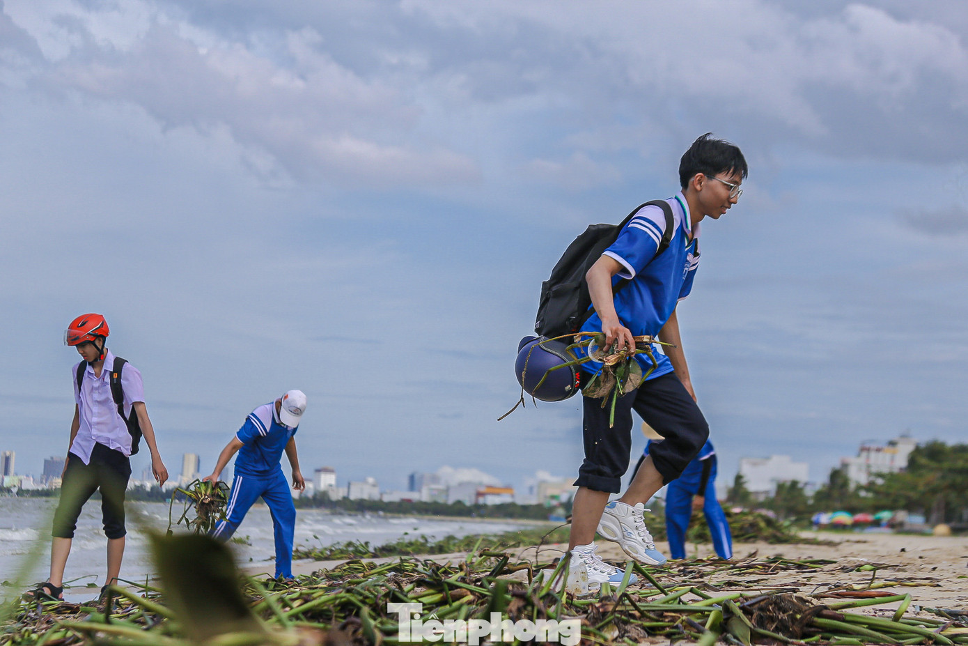 Bèo tây được các bạn gom thành từng đống lớn để công nhân vệ sinh môi trường dễ dàng thu gom.