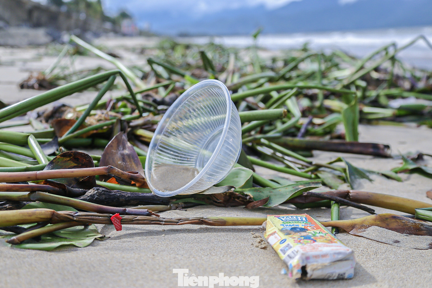 Rác thải đa số là bèo tây, chai nhựa, củi khô... nằm la liệt dọc bãi biển.