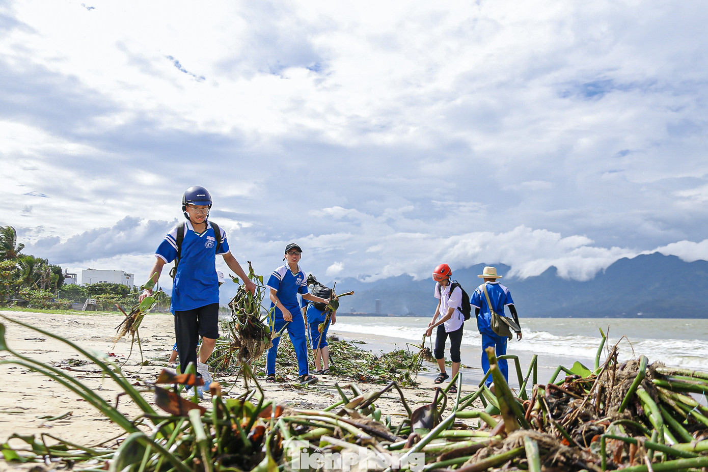 Bèo tây được các bạn gom thành từng đống lớn để công nhân vệ sinh môi trường dễ dàng thu gom.