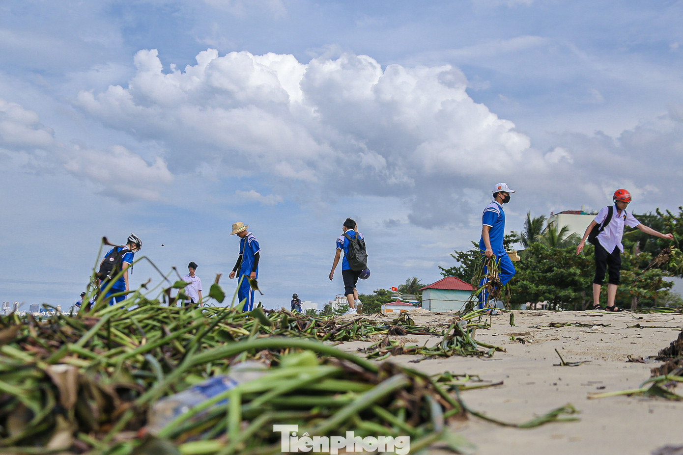Ghi nhận của Tiền Phong, rác thải đa số là bèo tây, chai nhựa, củi khô... nằm la liệt dọc bờ biển tạo thành một hàng dài. Nhiều bạn trẻ cùng nhặt rác, gom lại thành từng đống để công nhân vệ sinh môi trường đến thu dọn.