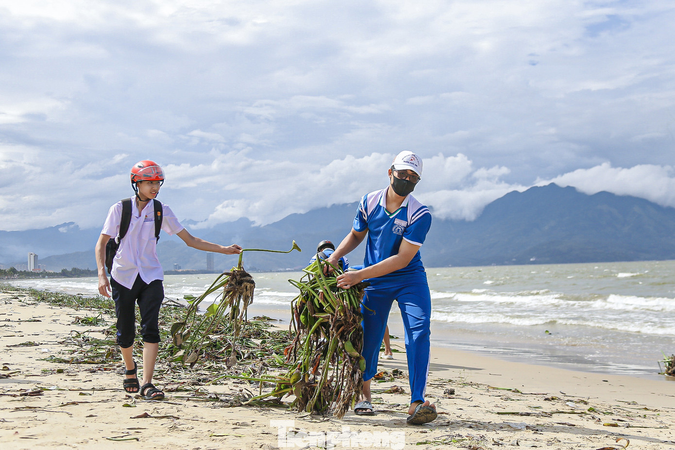 Ghi nhận của Tiền Phong, rác thải đa số là bèo tây, chai nhựa, củi khô... nằm la liệt dọc bờ biển tạo thành một hàng dài. Nhiều bạn trẻ cùng nhặt rác, gom lại thành từng đống để công nhân vệ sinh môi trường đến thu dọn.